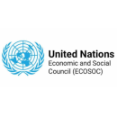 ECOSOC Logo